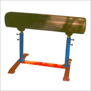 Vaulting Horse