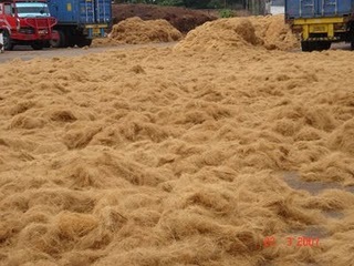 Coir Fiber Products