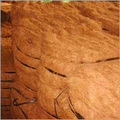 Coir Products