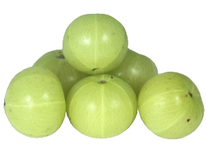 Fresh-Amla-Big