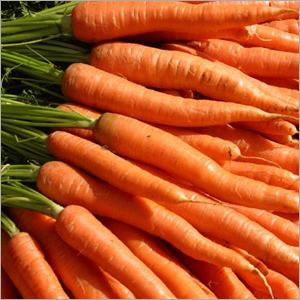 Red Carrots
