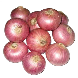 Onion