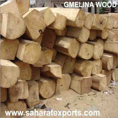 Gmelina Wood