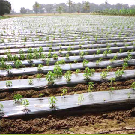 Mulching Flim