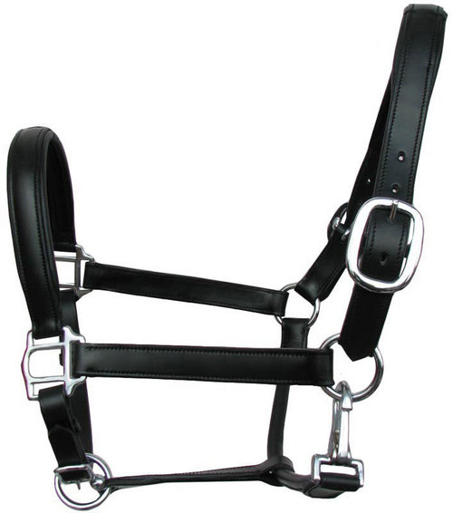 Leather Halter