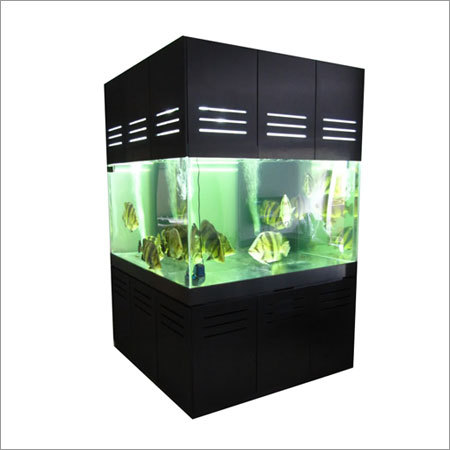 Fish Aquariums