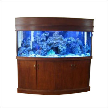 Beautiful Aquariums