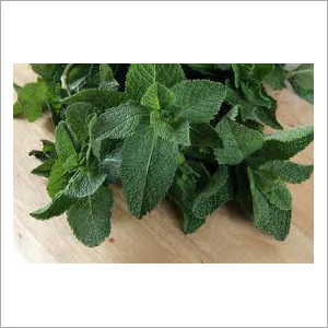 Preserved Vegetables - Variable Weight, Packaged in Plastic Bag | Consistent Quality, Convenient Storage, Flavorful with Long Shelf Life