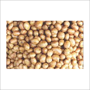 Fresh beans Vegetables