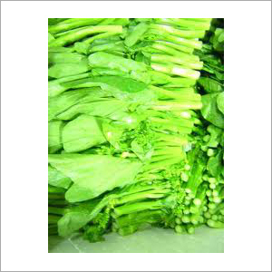 Fresh Palak (Spinach)