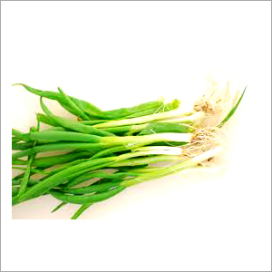 Fresh green onion