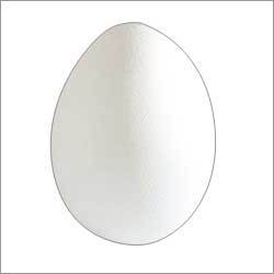 White Chicken Egg