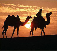 Delhi - Rajasthan tourism