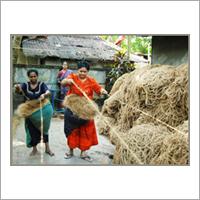 Coir Yarn Spool