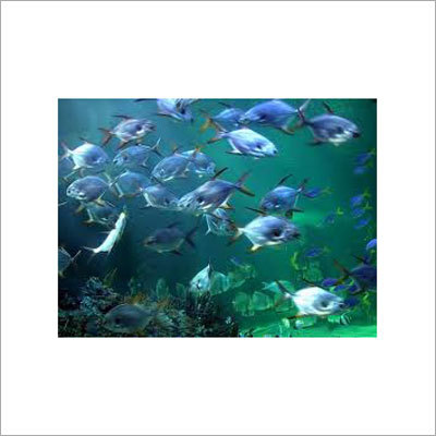 Aquaculture Water Treatment