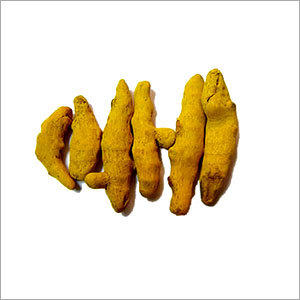 Dry Turmeric Finger