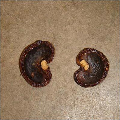 cashew outer shell