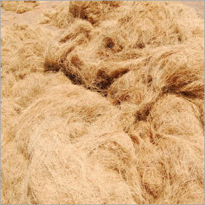 Coconut Coir Fibre
