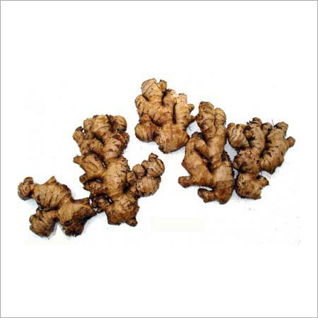 Fresh Ginger