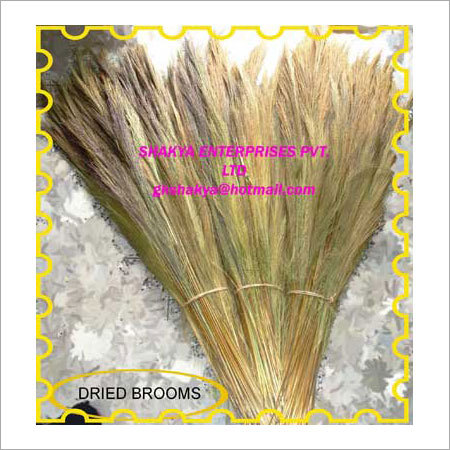 Grass Broom