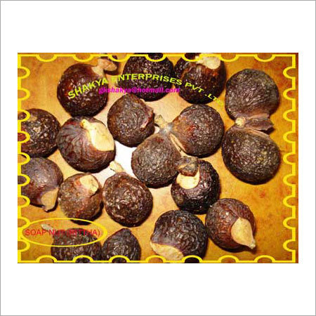 Soap Nut