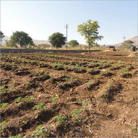 Land Development