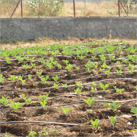 Land Development