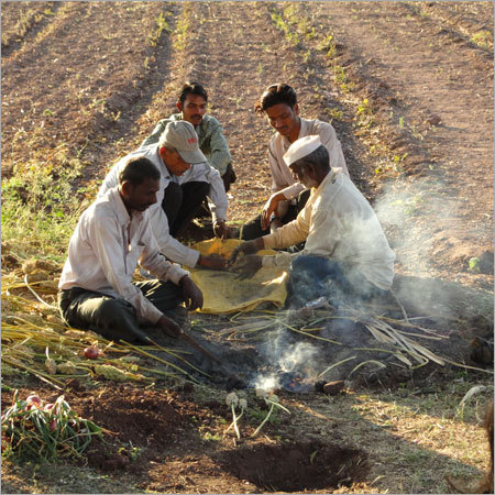 Farmer Training