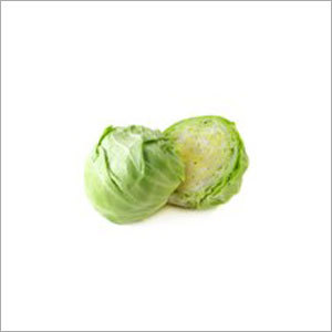 Cabbage
