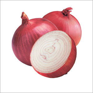 Onion