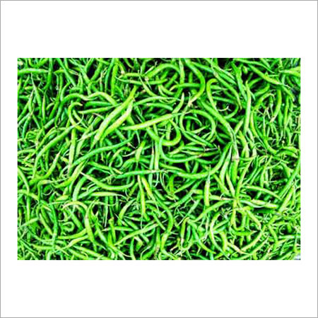 Green Chilli - Curved, Green, Variable Length | Fresh, Spicy, Vibrant, Flavorful, Versatile, Firm Texture, Naturally Grown