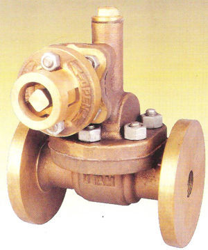 Bronze Valve