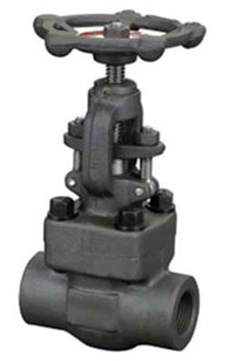 Forged Valve