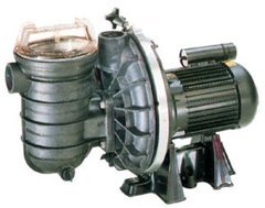 Swimming Pool Pumps