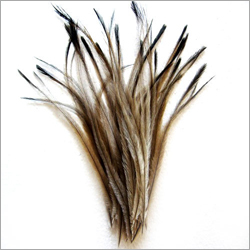 Emu Feathers