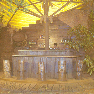 Bar Counter Interior Designing