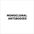 Monoclonal Antibodies Kit