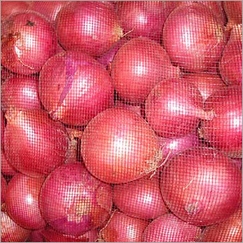 Fresh Red Onion