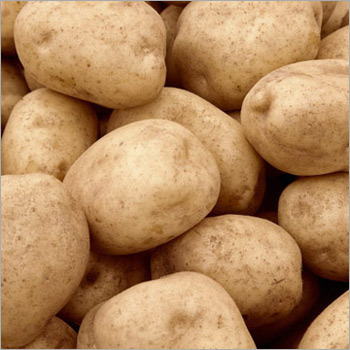 Potato