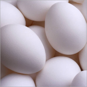 White Chicken Eggs