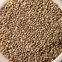 Guar Gum Seeds - Color: White