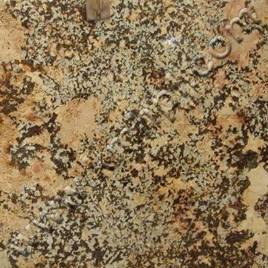 Granite - Polished 2cm Brown, 2.6-2.7g/cm³ | Durable, Stain-Resistant, Heat-Resistant, Scratch-Resistant, Easy-to-Clean, Elegant