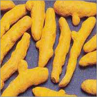 Turmeric Finger