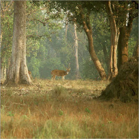 Travel Agents & Tour Operators