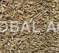 Cumin Seed