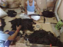 indian raw human hair