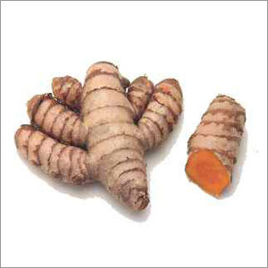 Turmeric