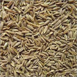 Cumin Seeds