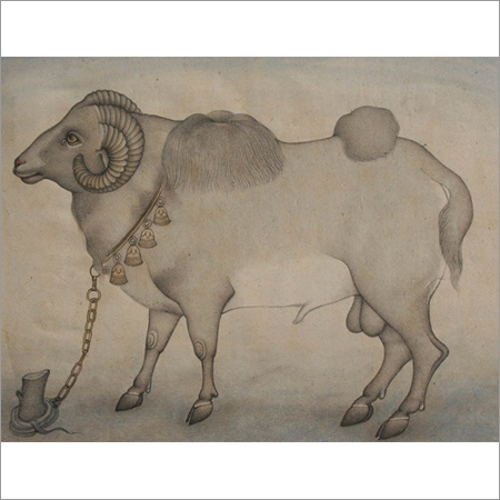 Sheep Paintings