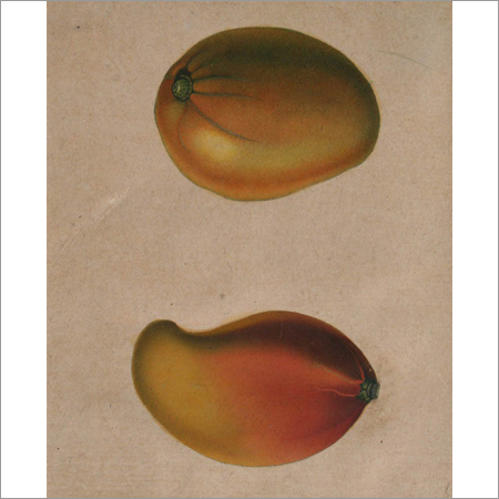 The Mango Paintings
